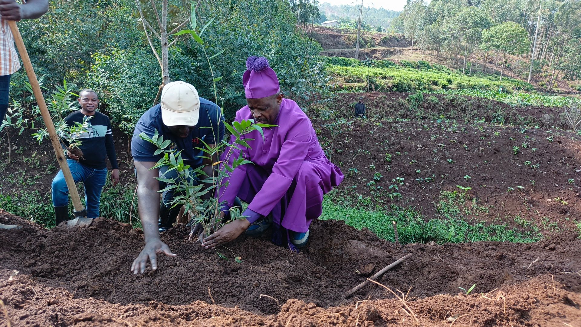 Tree_Planting_Launch_in_Kamembe.jpg