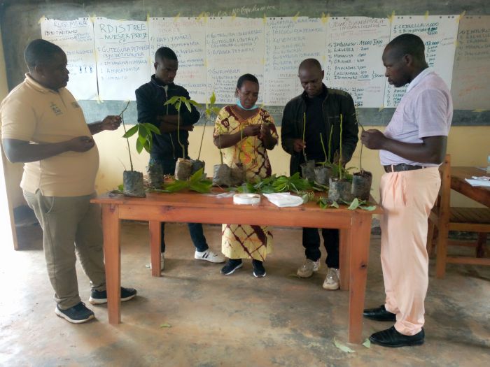 Community training how to use these seedlings