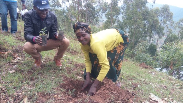 A community member and RDIS's Project Manager planting trees