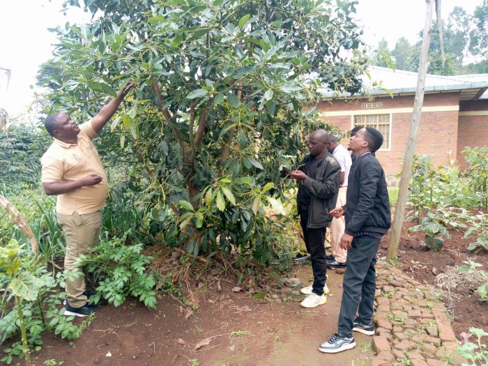 RDIS staff examining result of of their work in Rusizi