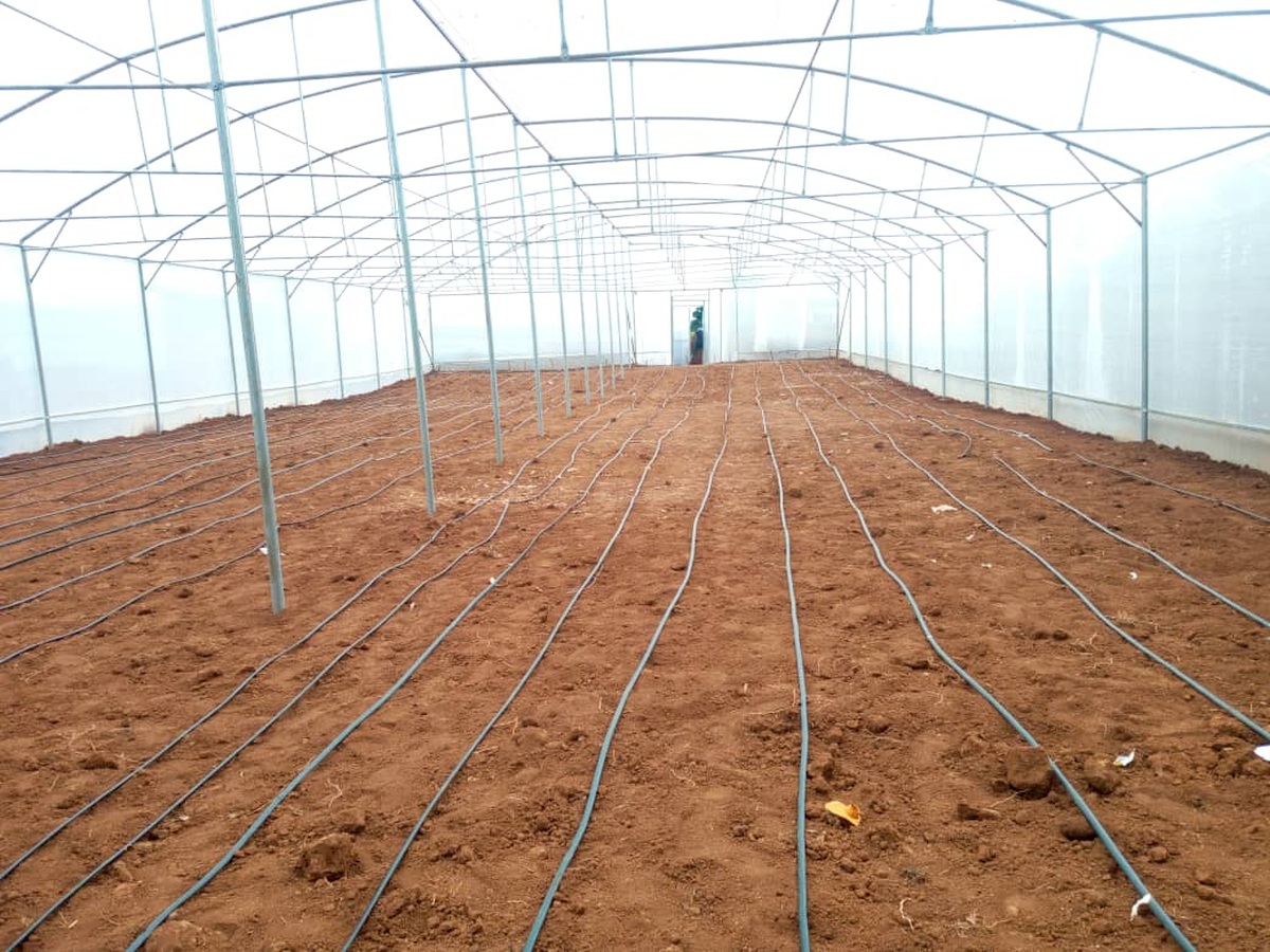 Installation works in Murangi Farm (from Cyangugu diocese) - the Greenhouse in May 2022