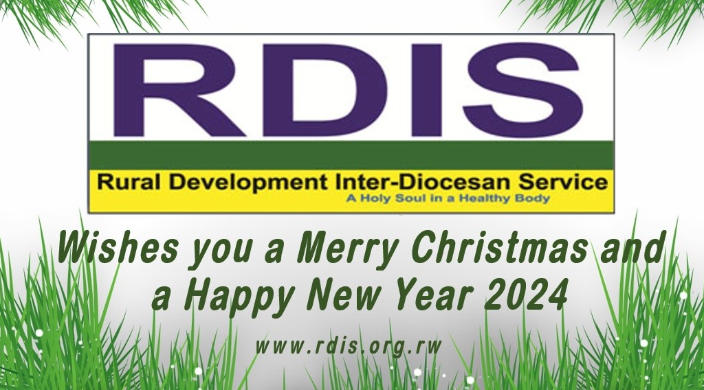 RDIS_Christmas_and_New_Year_Wishes_-_Dec_2023.jpeg