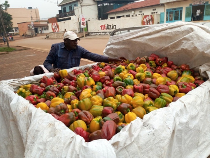 First harvests at Murangi Farm on sale at a supper market in Kigali