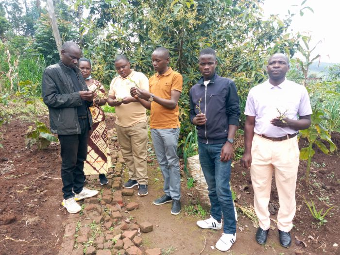 RDIS staff harvests seedlings for the next generation of trees