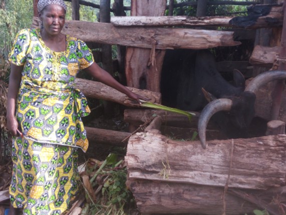 Mukahirwa Lydia, 56, small business of buying and reselling domestic animals