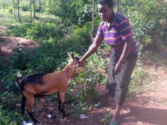 NYIRAMINANI Esperance, 30, received a goat as one of transformative group members