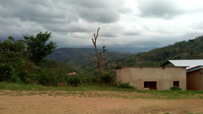 A typical landscape of rural Rwanda; Carbon projects like ours are helping to reduce deforestation.