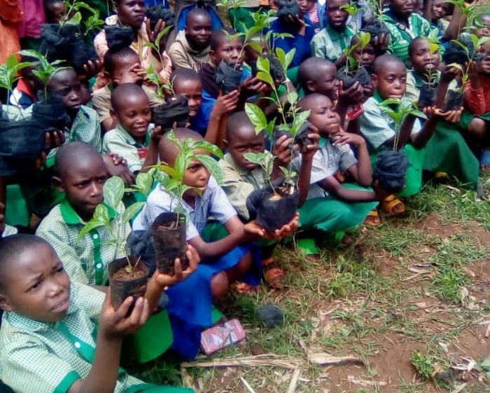 Students receive seedlings
