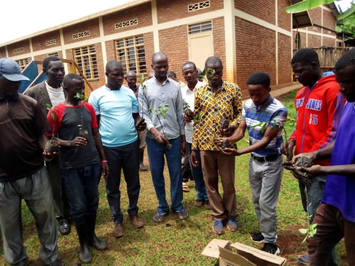 Community members in Rusizi receive seedlings