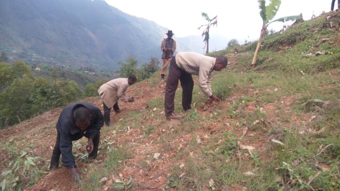 Community members planting seedlings