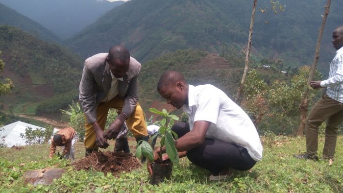 Community member planting seedlings