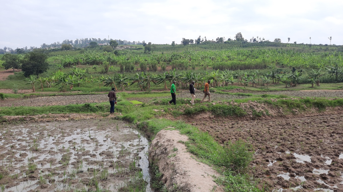 Evaluating Mbayaya Farm (from Shyogwe diocese) with experts from Kigali