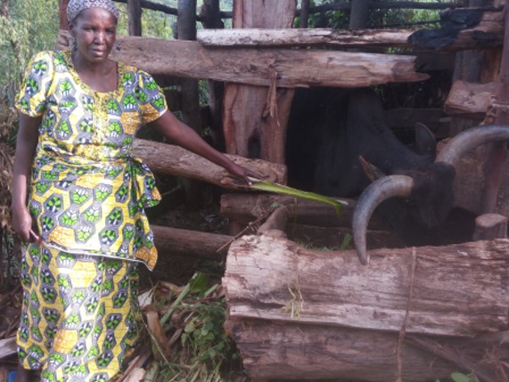 Mukahirwa Lydia, 56, small business of buying and reselling domestic animals