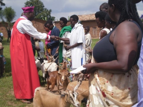 Duterimbere group in Butare: each family received one goat and one pig