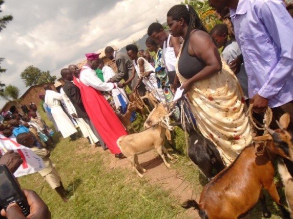 Duterimbere group in Butare: each family received one goat and one pig
